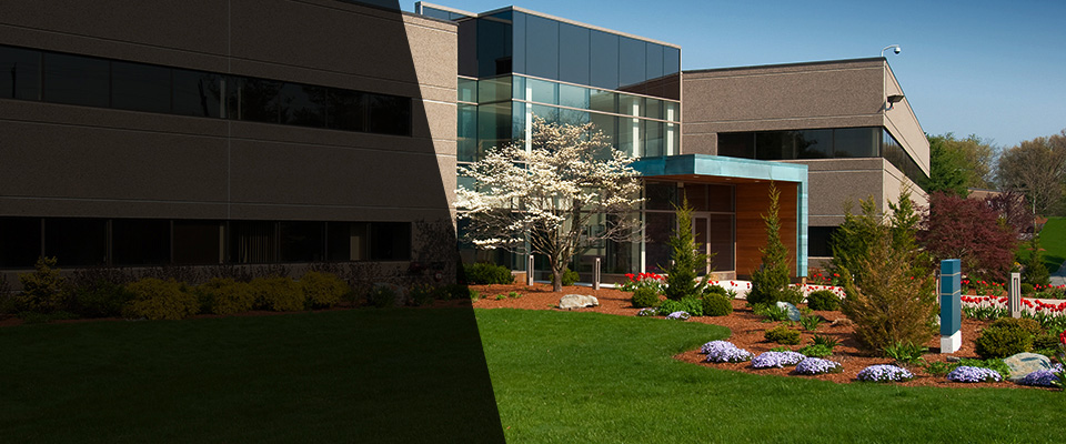 South Holland Landscapers