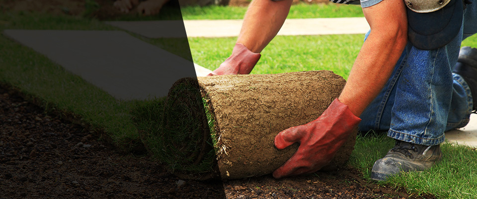 South Holland Landscapers